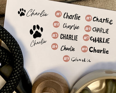 A white sheet with multiple font styles of the name Charlie and paw prints showcasing custom rubber stamp options for pet signatures